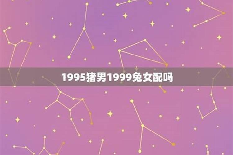 1995属猪男和1999属兔女