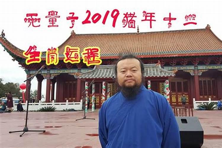 生肖属虎2019年运势详解