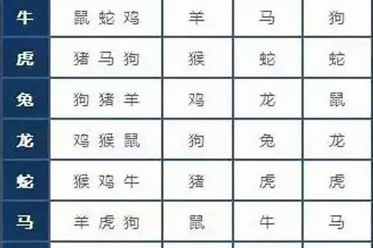 相冲的生肖能在一起吗为什么