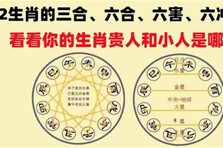 小人得势害四方是什么生肖