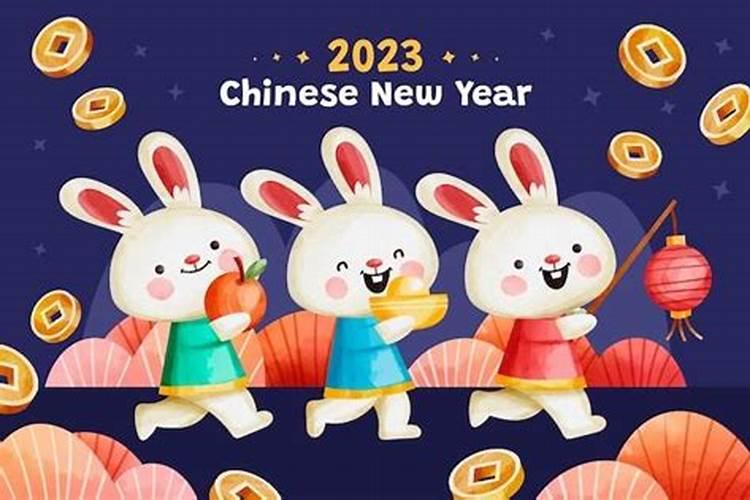 2021年属兔人最忌讳的颜色是