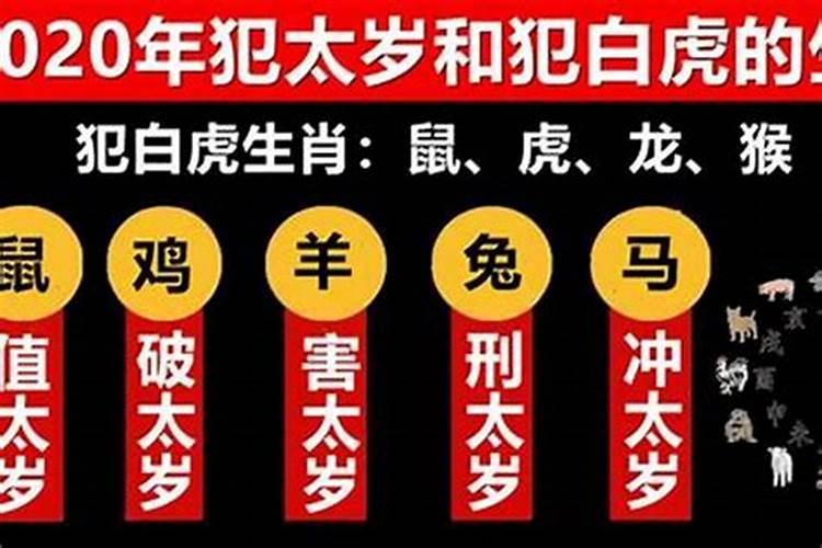 2020鼠年有哪些属相犯太岁