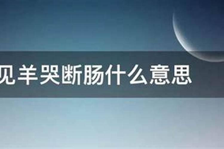 蛇见羊哭断肠什么意思属羊的人生的孩子是属蛇的好吗