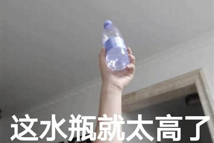 水瓶和水瓶友情指数