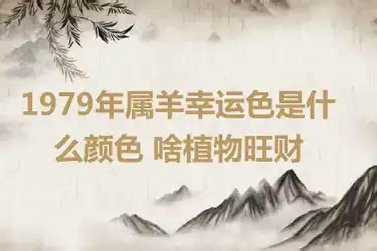 属羊1979年的幸运色是什么