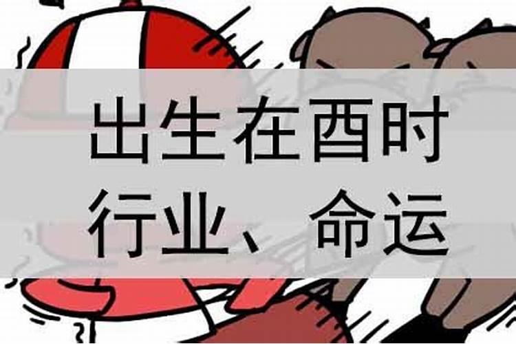 酉时出生命运详解