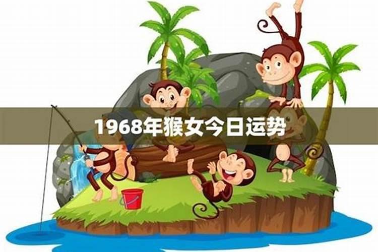 1968年的女猴今天财运