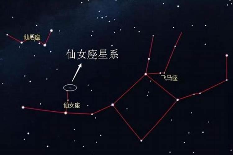 12星座的仙女