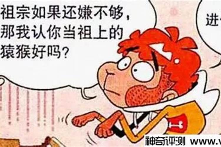 十二生肖谁是学霸