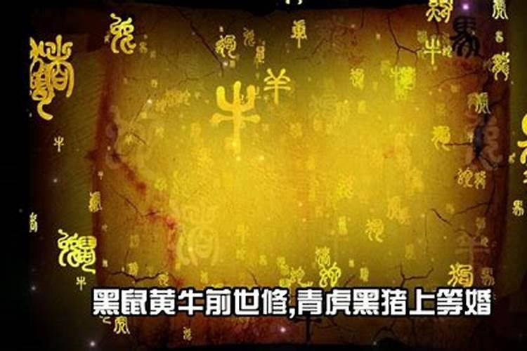 老祖宗留下来的十二生肖婚配口诀