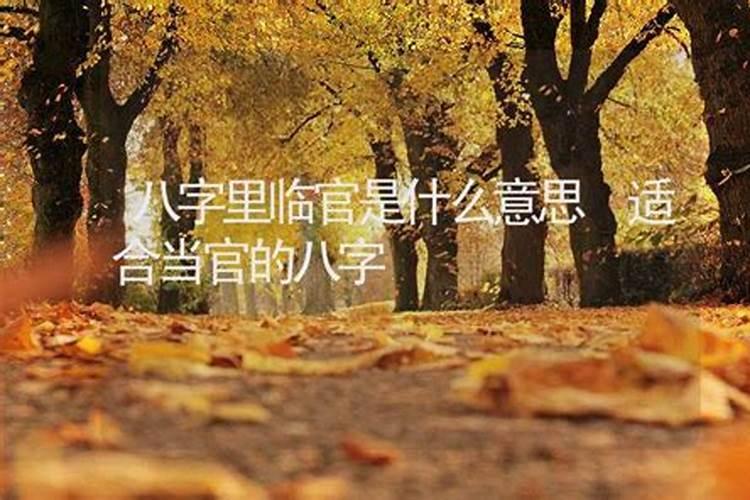 八字里面有什么能当官的