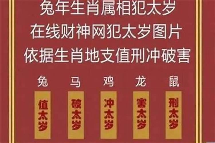 南北大道不成东西是什么生肖的动物