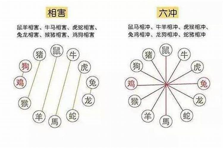 感情容易受伤的八字