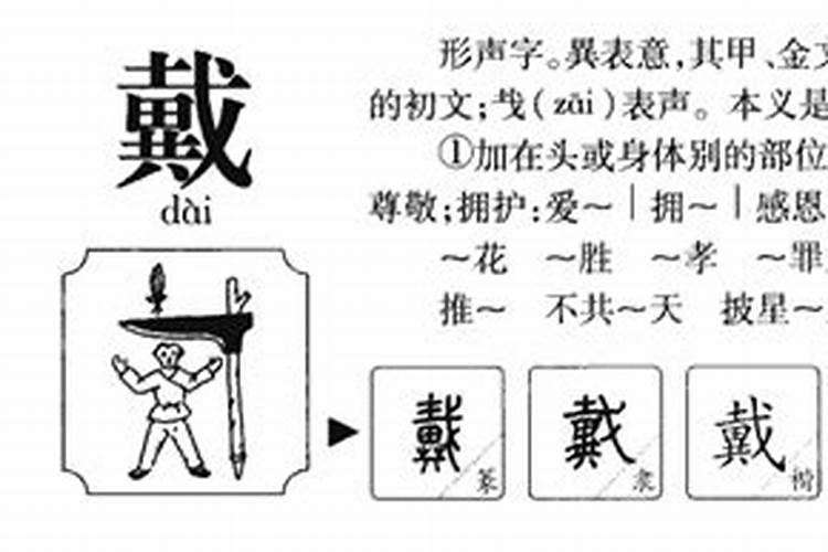 戴字五行属什么