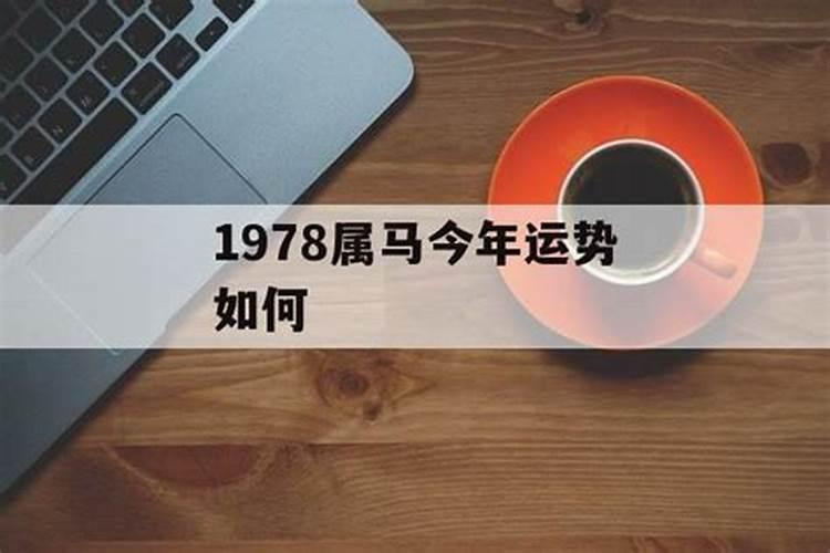 1978男马今年运势