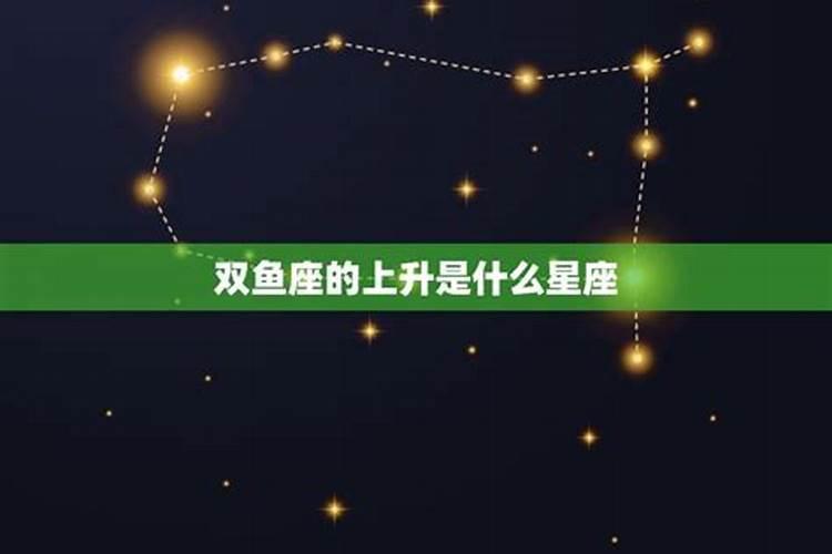 上升星座双鱼和哪个星座最配