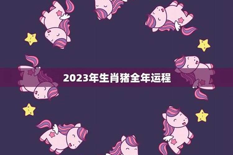 2023年属猪运势和财运怎么样女