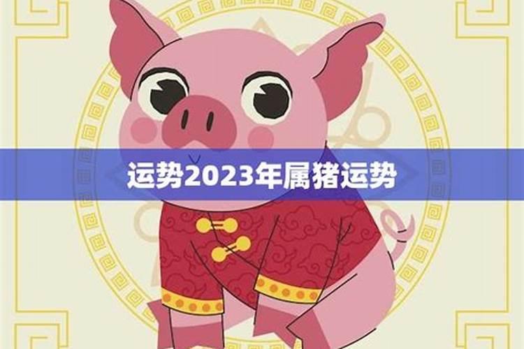 2023年属猪运势和财运怎么样女