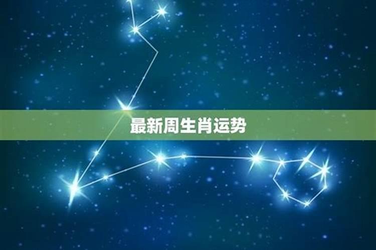 下周12星座运势