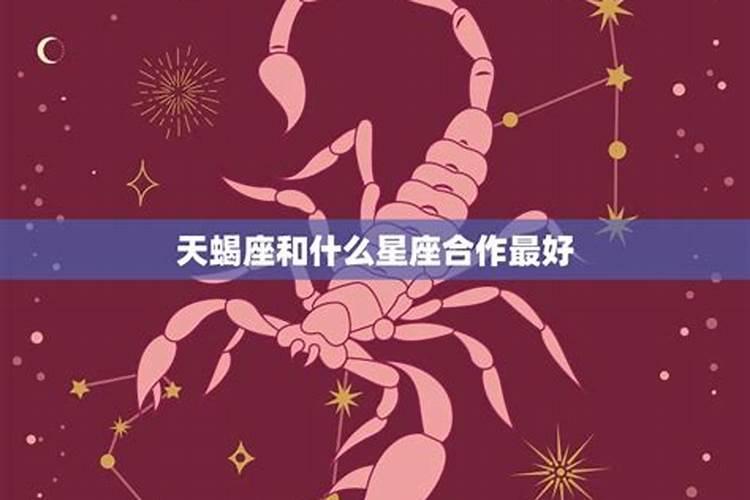 最旺天蝎座的星座是什么