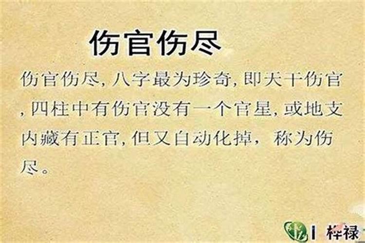 八字劫财伤官多的女人