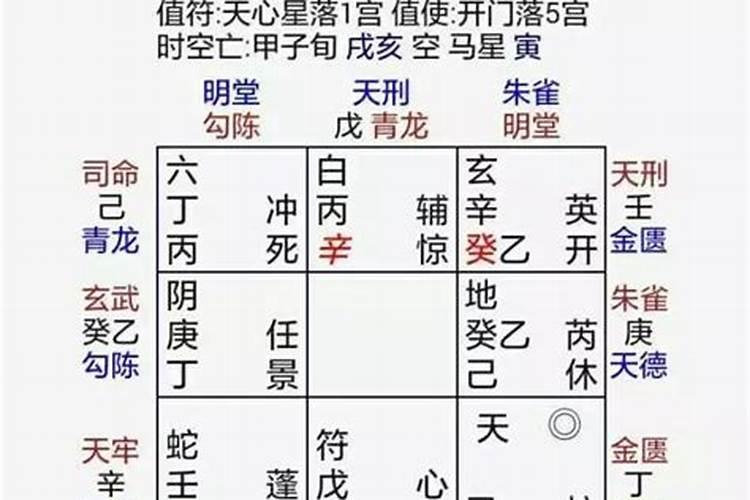 兔年出生八字合吗