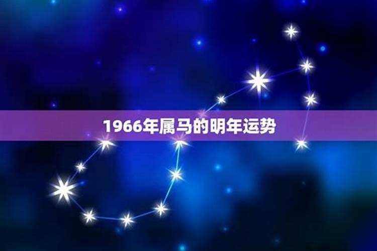 属马1966年属马今年运势