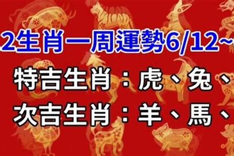 今日特吉生肖,次吉生肖2021年8月12日