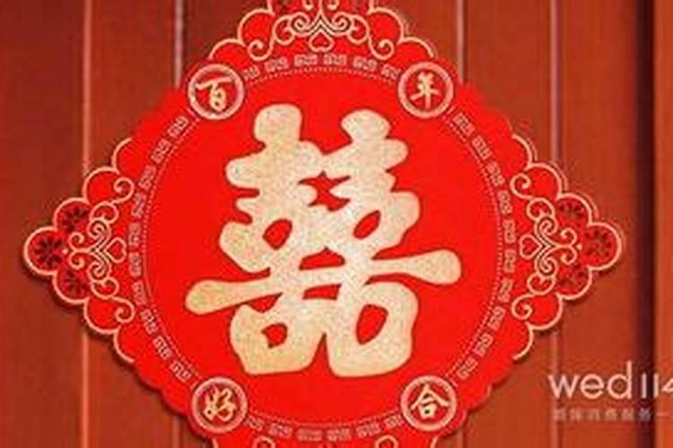 农历4月属狗的人好吗为什么