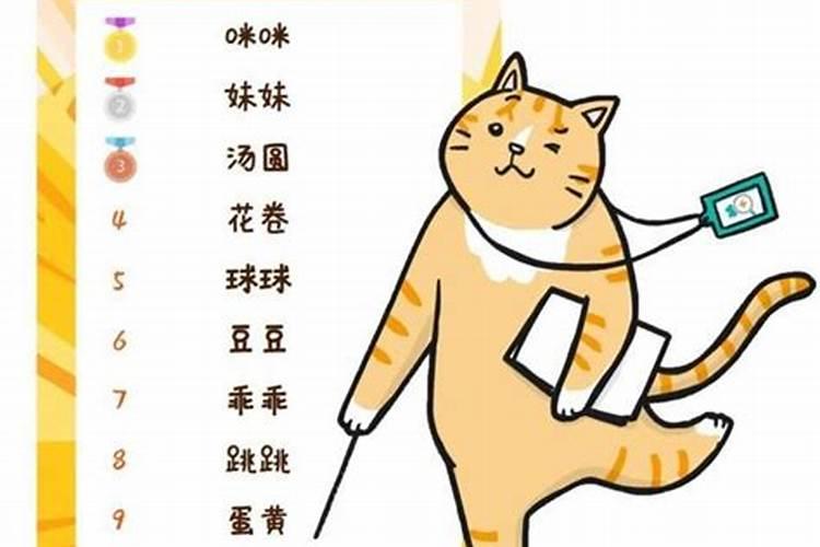 冬至出生的猫取名