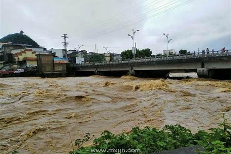 梦见大雨大河水暴涨