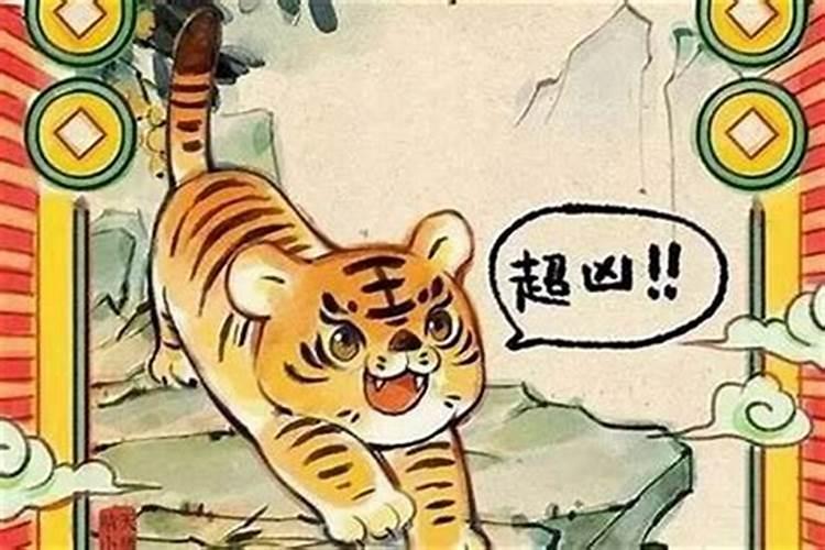 86年的虎猪年运势怎么样