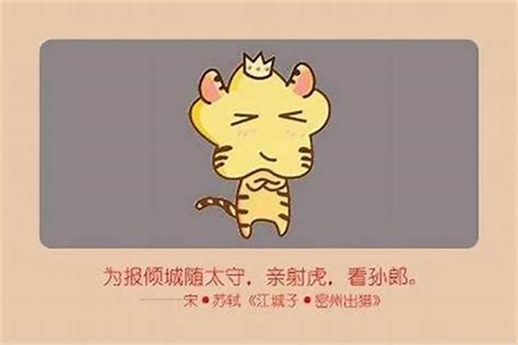 86年的虎猪年运势怎么样