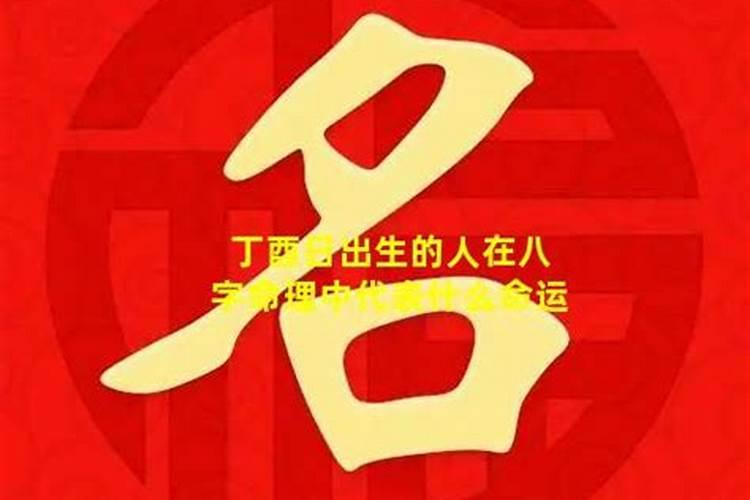 八字伤官代表什么人