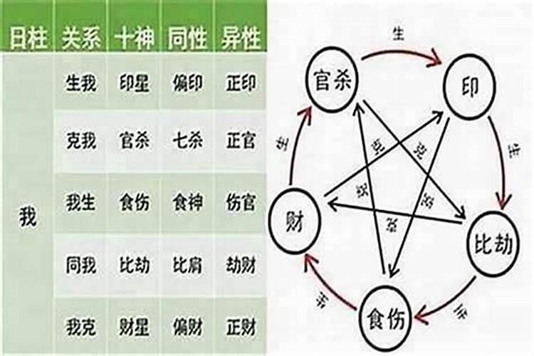 八字里的十神怎样解读