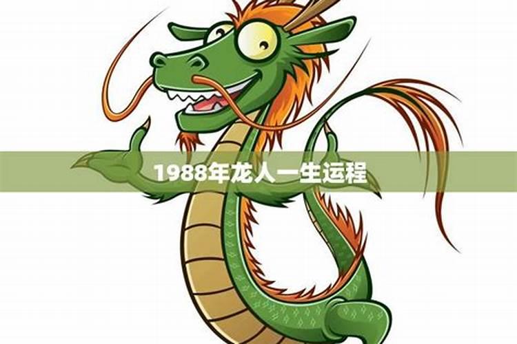 1988年龙男一生运势