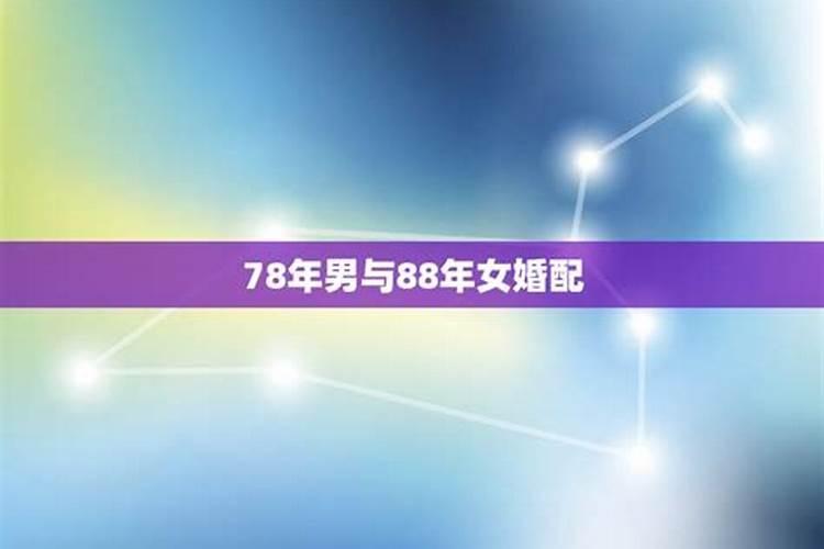 女78年男81年八字合吗