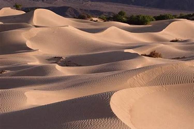 沙中土跟大海水能合婚吗
