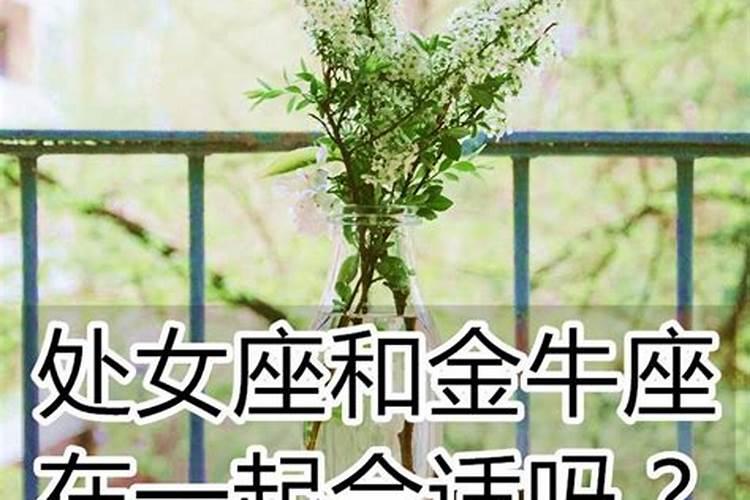 和金牛女在一起很幸福