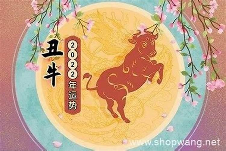 马在牛年的运势如何2021年