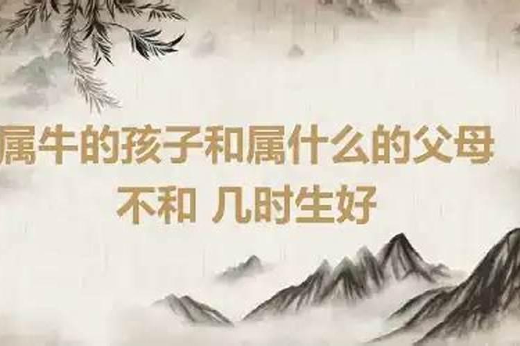 属牛的孩子和属狗的父母合不合