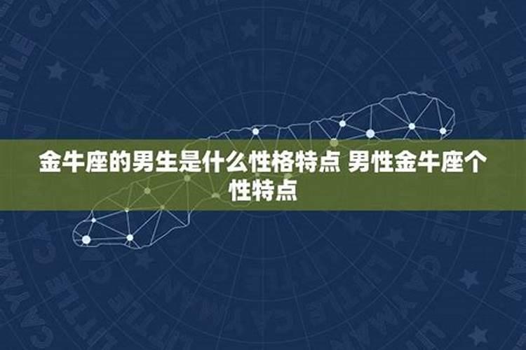 金牛男生性格爱情观是什么意思