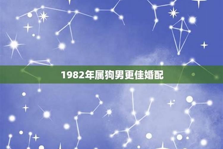 1982年属狗男女婚配合适吗