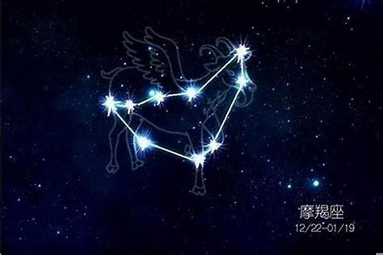 星座狗摩羯座的一天