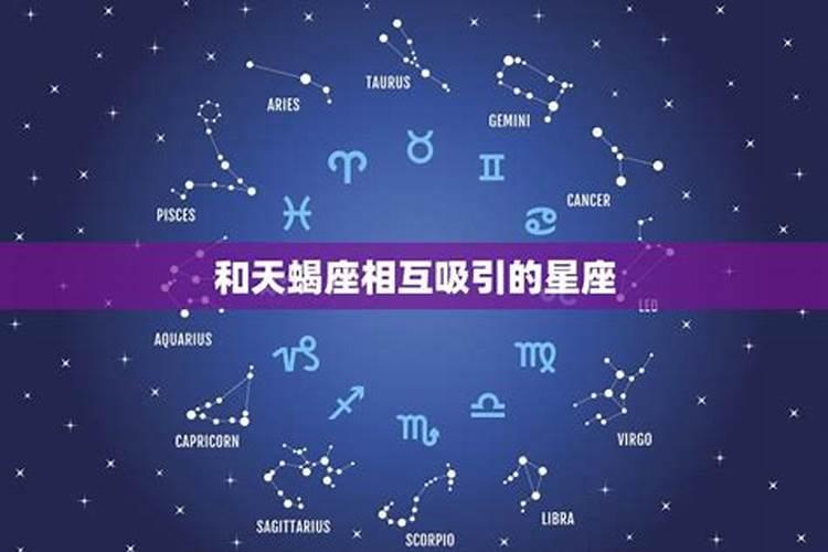 和天蝎座相互吸引的星座