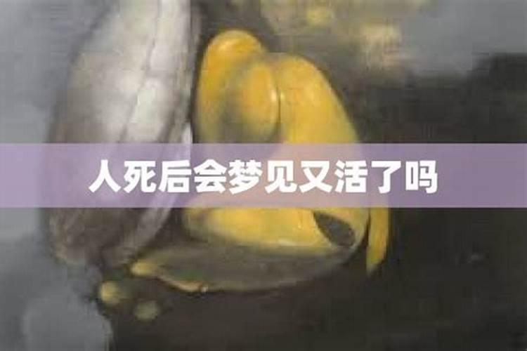 梦见朋友去世了又活了