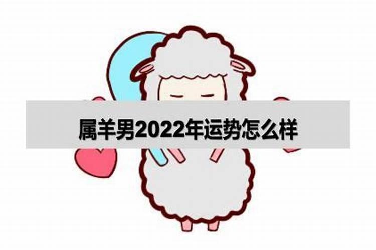 属羊感情运势2023