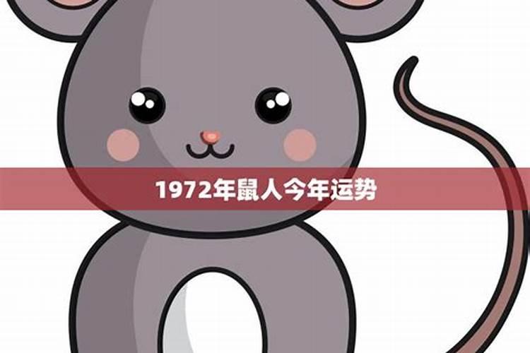 1972年属鼠今年有什么喜事