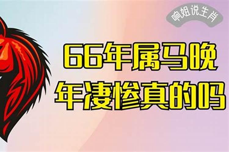 66年属马的晚年怎么样