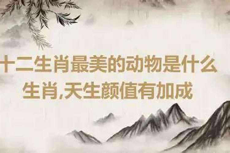 十二生肖天生丽质的动物是什么生肖